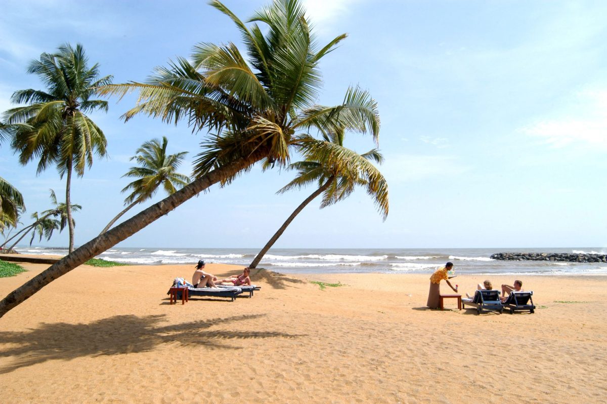 Séjour en Asie du Sud, les choses à voir et à faire au Sri Lanka