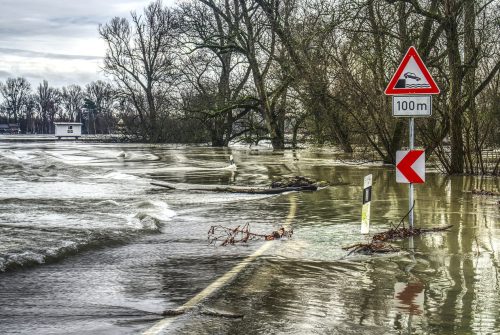 Comment réviser efficacement son code de la route ?