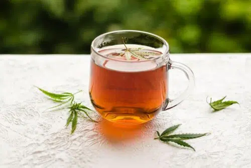 Quel CBD pour infusion choisir ?
