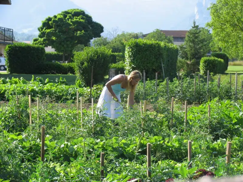 Disposer des outils adéquats pour faire des travaux dans le jardin potager