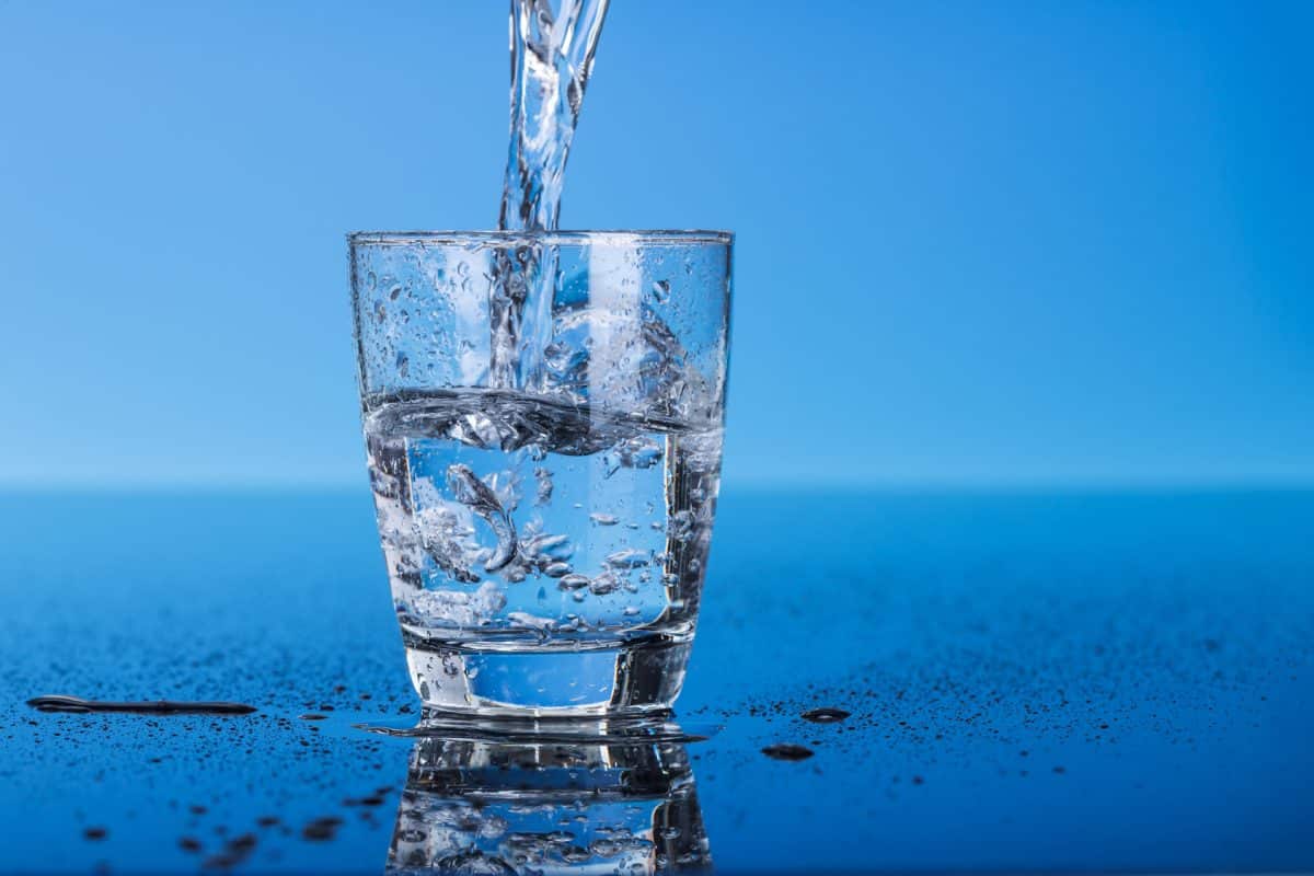 L’eau : Quel rôle tient-elle dans le quotidien ?