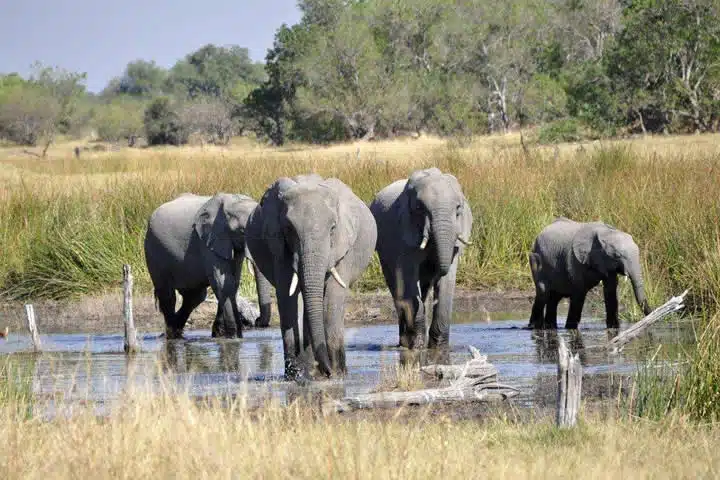 Tourisme en Afrique, 2 immanquables à découvrir