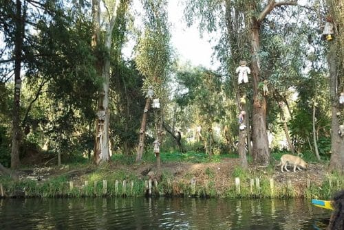 Voyage insolite au Mexique : visiter l’île aux poupées