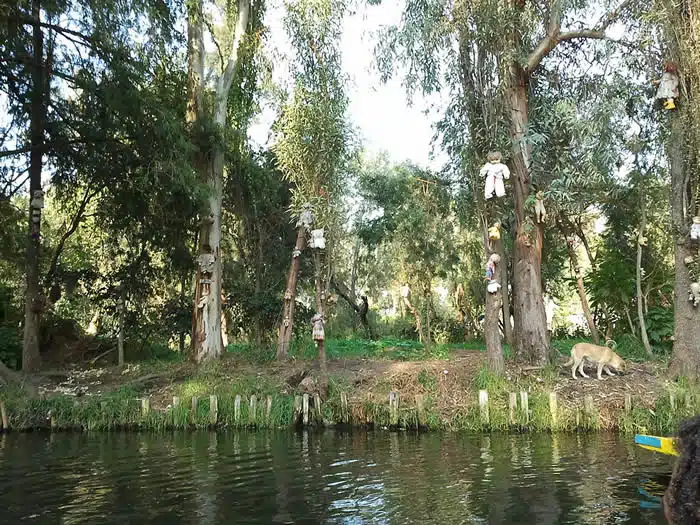 Voyage insolite au Mexique : visiter l’île aux poupées