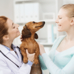 Auxiliaire de santé animale, ASV, soigneur animalier : quelles différences ?