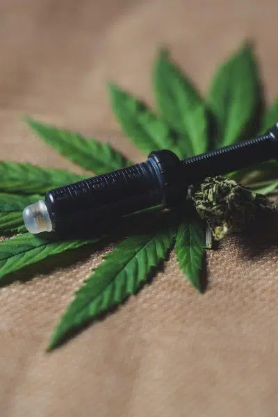 Comment conserver le CBD ?
