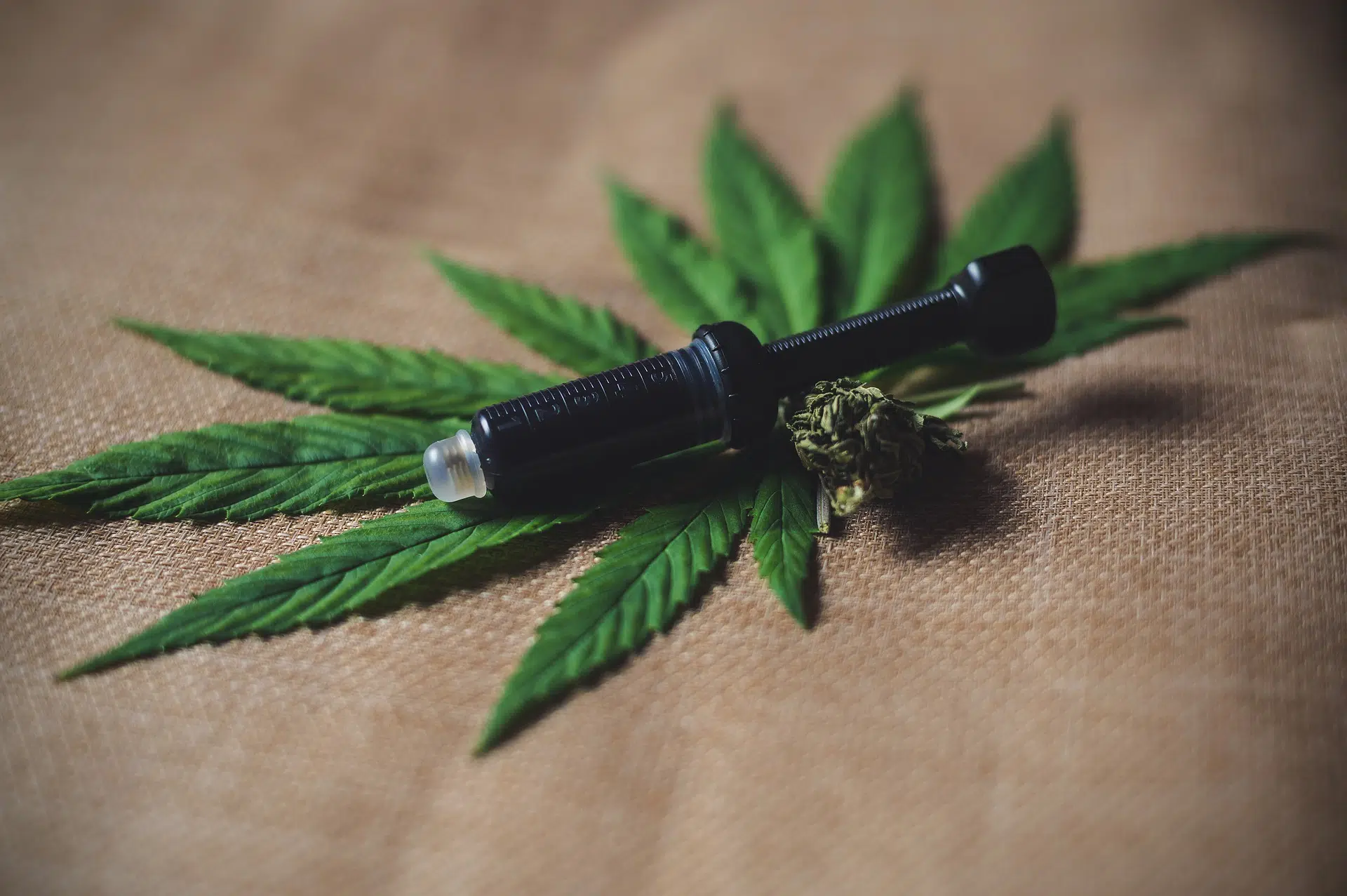 Comment conserver le CBD ?