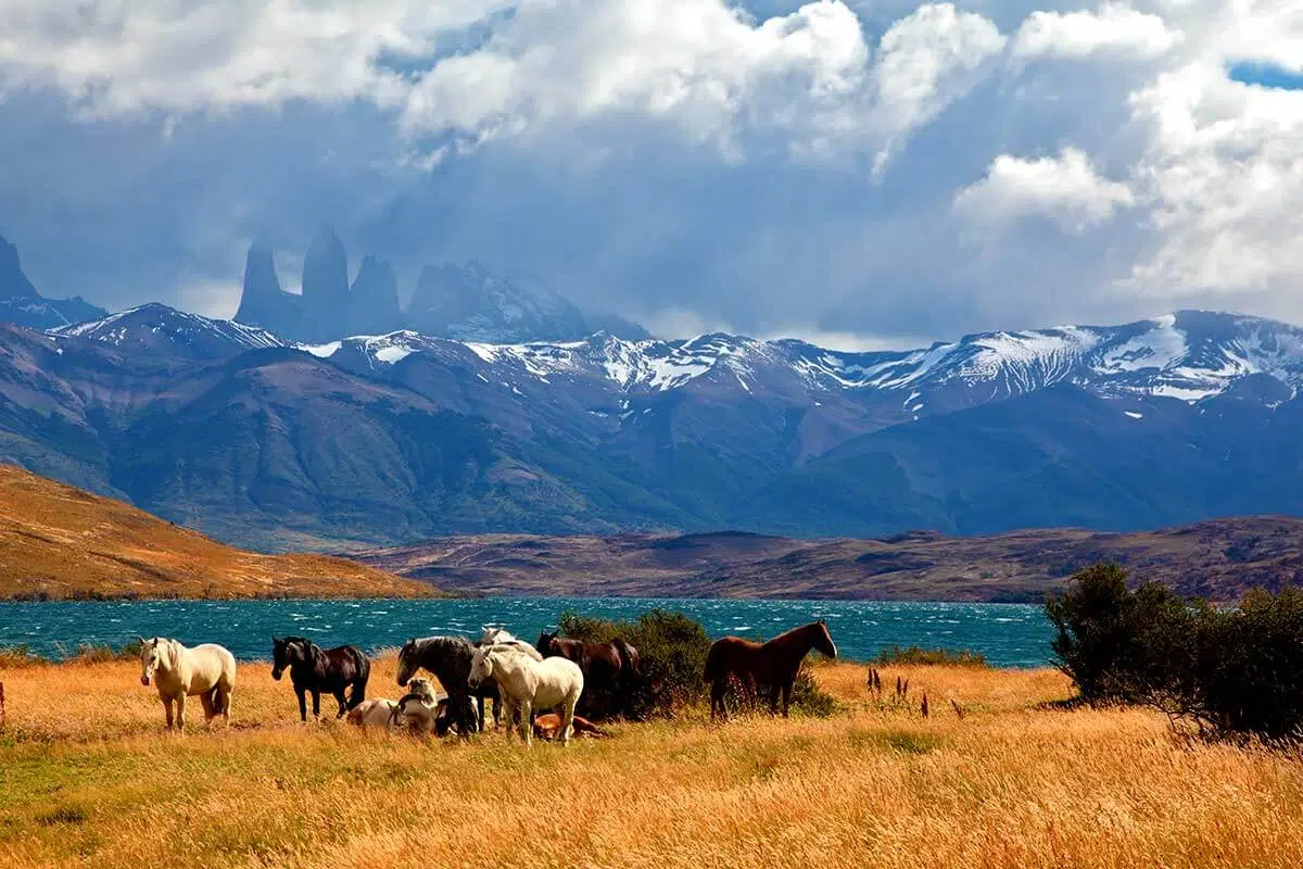 Zoom sur les endroits spectaculaires de l’Argentine