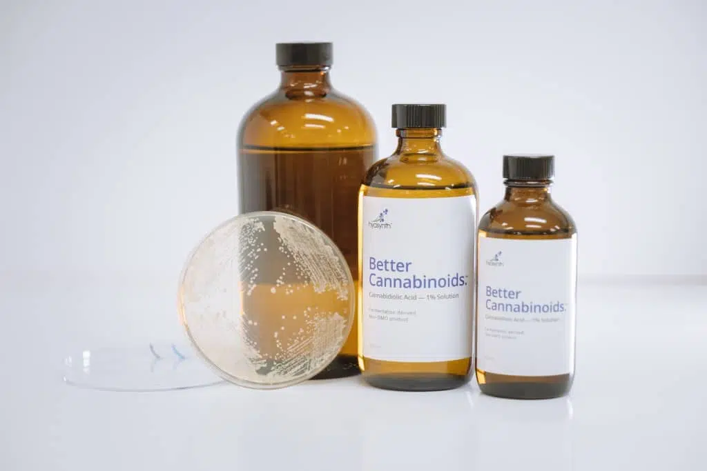Qui produit du CBD ?