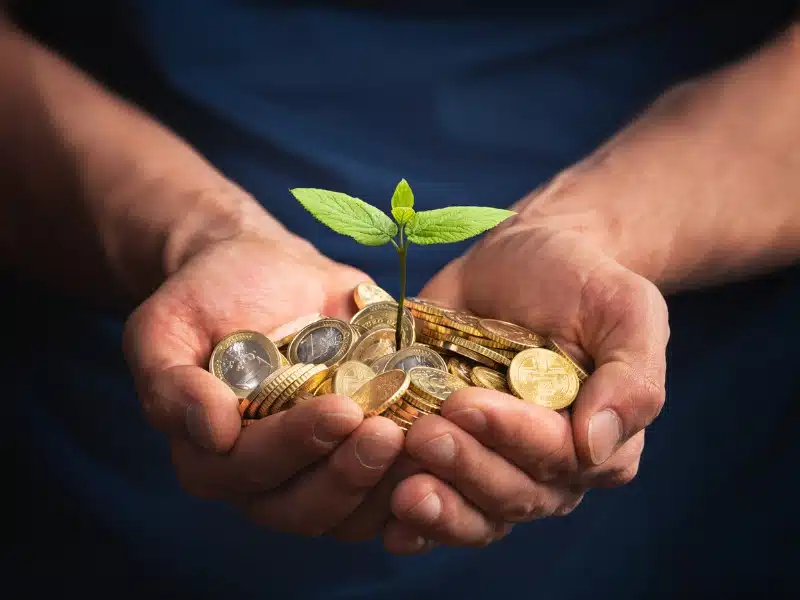 Les nouvelles tendances de l’investissement responsable pour une finance durable