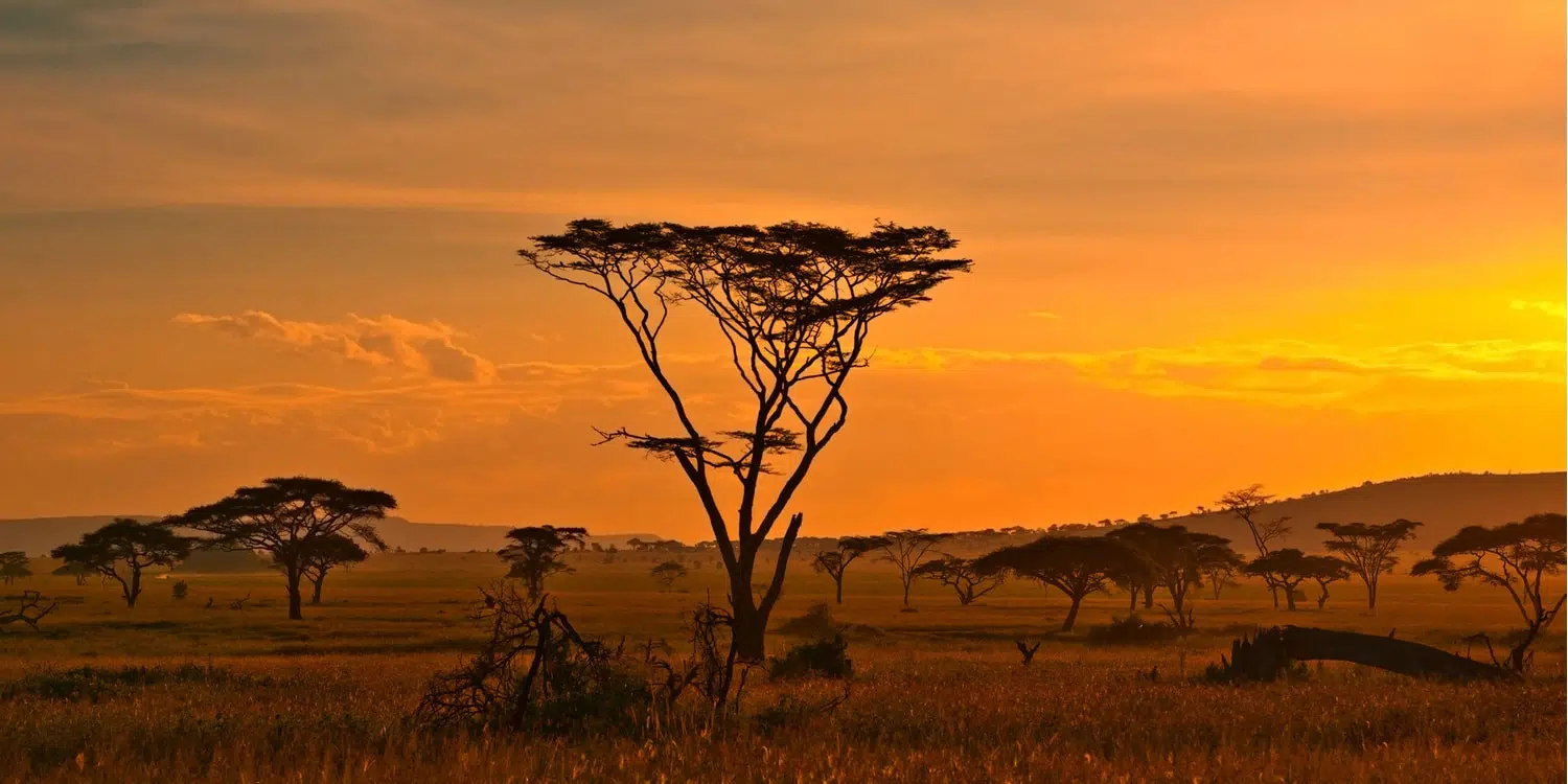 Les aires protégées propices à la randonnée en Afrique Australe