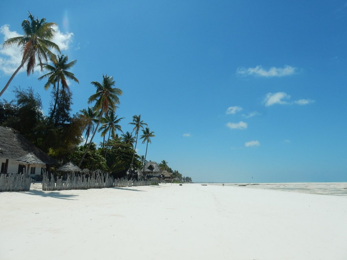 Par quoi Zanzibar est-elle si différente des autres destinations du continent ?
