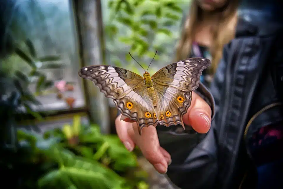 Escapade nature à Paris : zoos, aquariums et ménageries à visiter