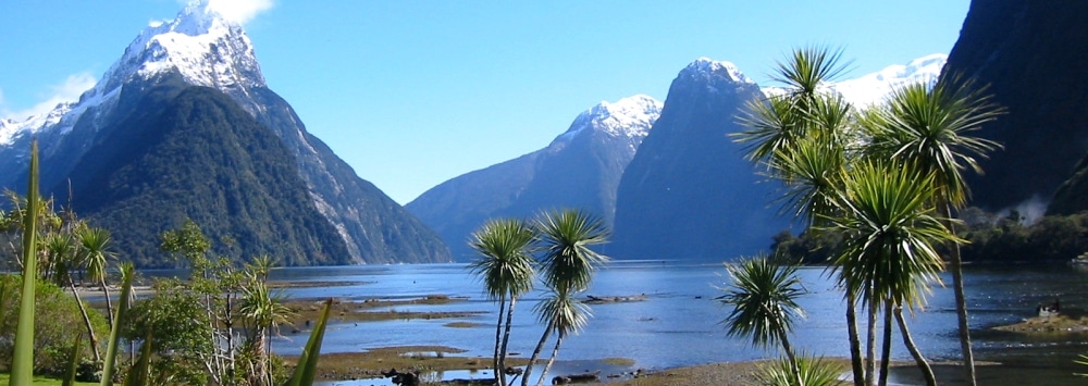 Visiter la belle ville de Kaikoura lors d’un séjour en Nouvelle-Zélande
