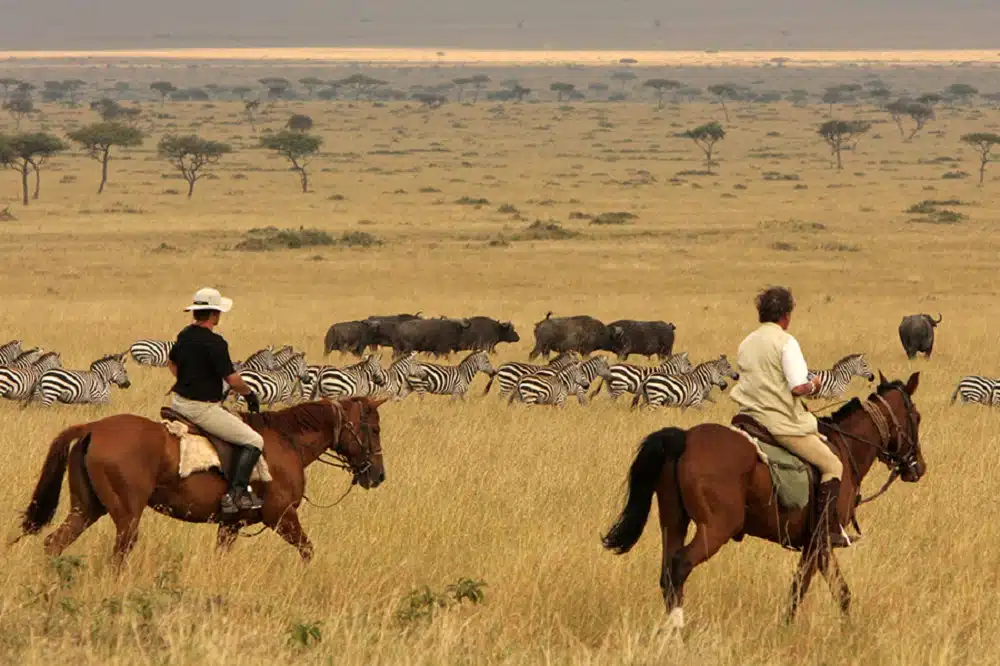 Les points forts d’un séjour équestre au Kenya